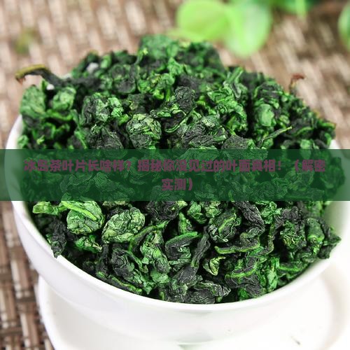 冰岛茶的叶片特征