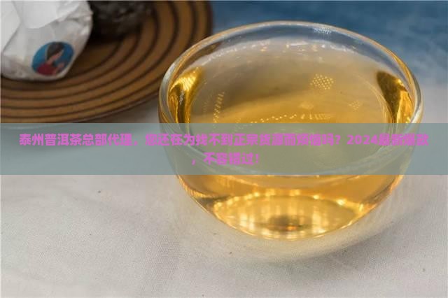 泰州普洱茶总部代理