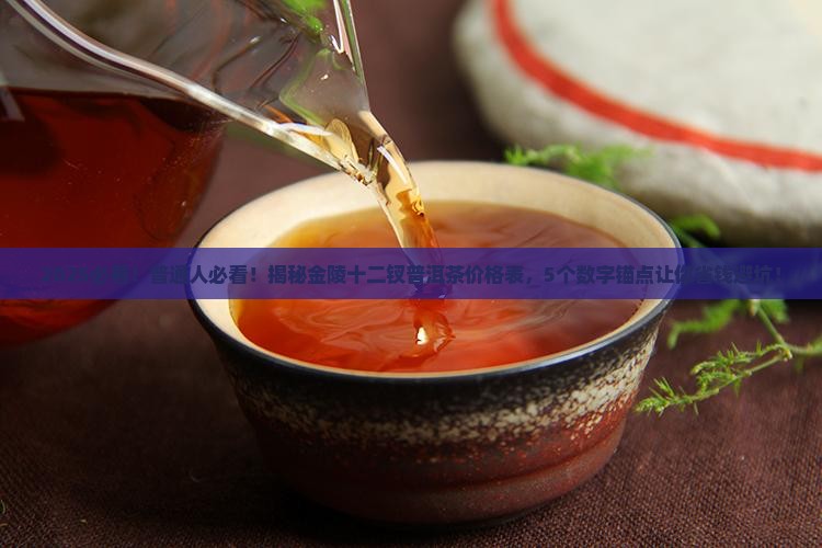 金陵十二钗普洱茶价格表
