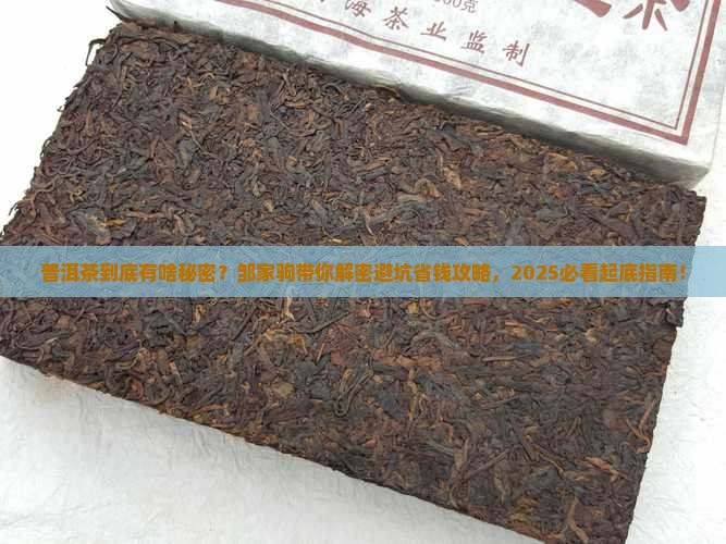 邹家驹讲普洱茶的秘密