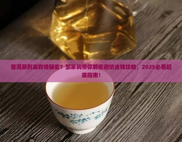 邹家驹讲普洱茶的秘密