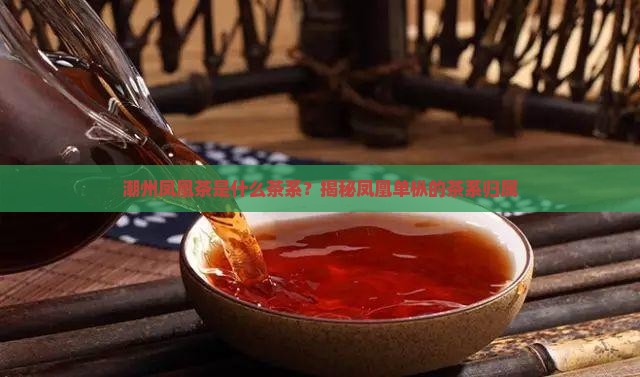 潮州凤凰茶是什么茶系
