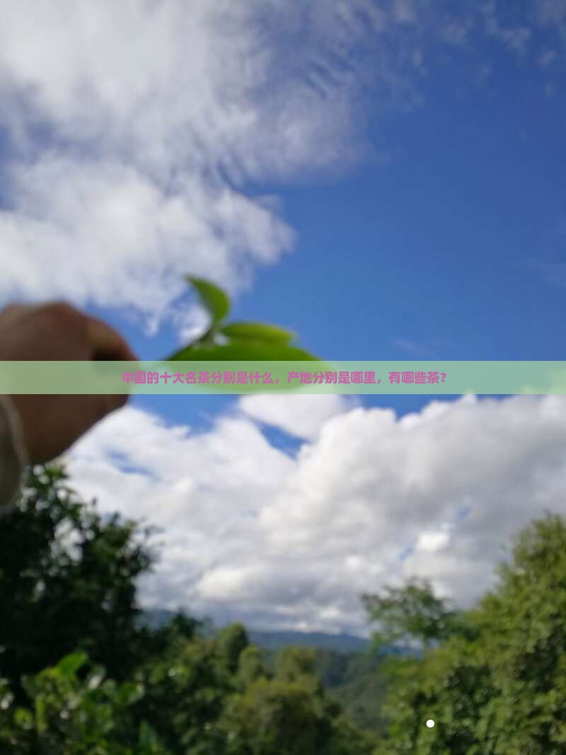 中国的十大名茶分别是什么