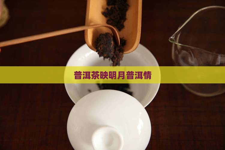 海上生明月普洱茶