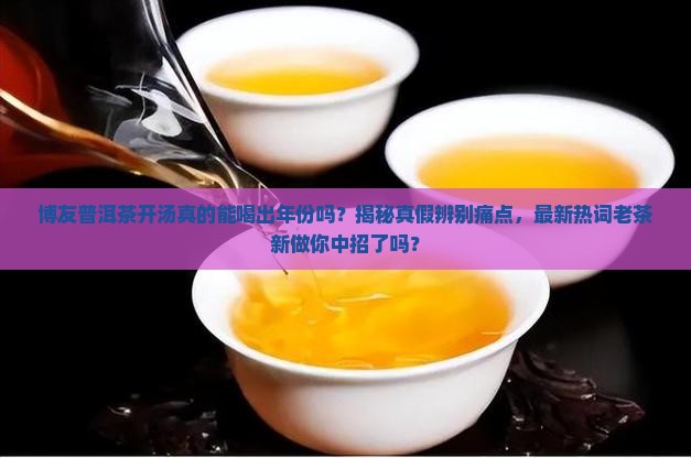 博友普洱茶开汤