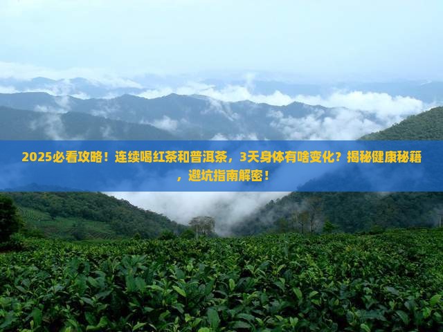 红茶与普洱茶连续喝吗