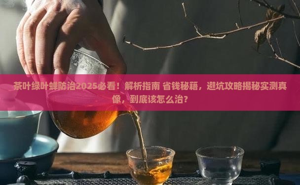 茶叶绿叶蝉怎么治理