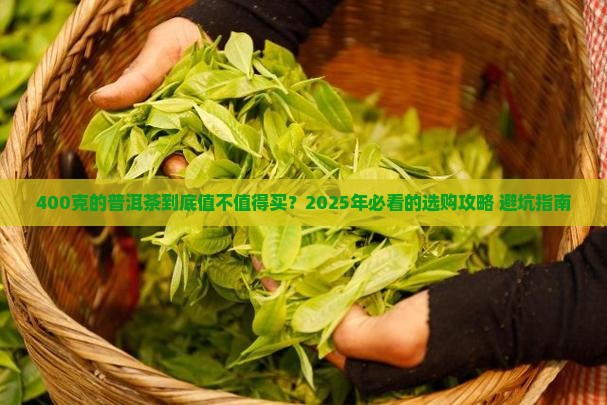 400克的普洱茶