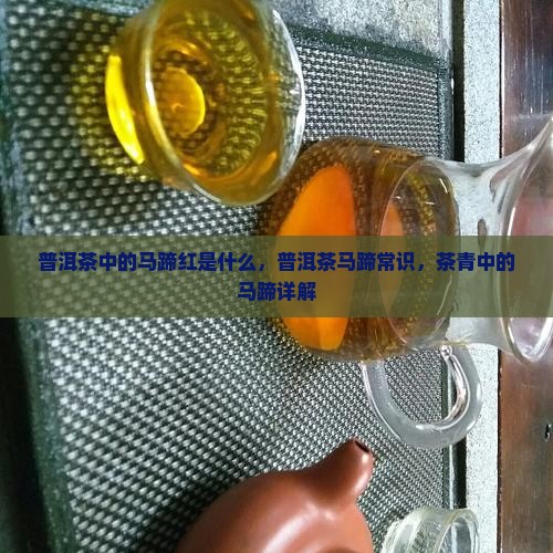 普洱茶中的马蹄红