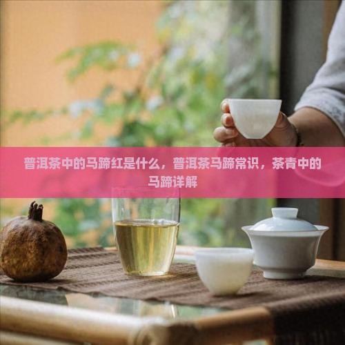 普洱茶中的马蹄红