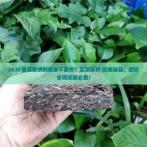 普洱茶饼要不要煮