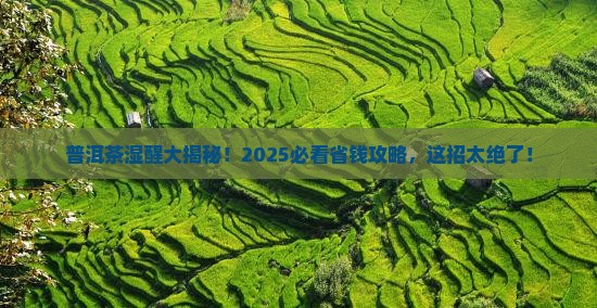 普洱茶的湿醒技巧