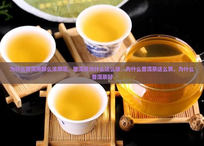为什么普洱茶那么浓厚呢