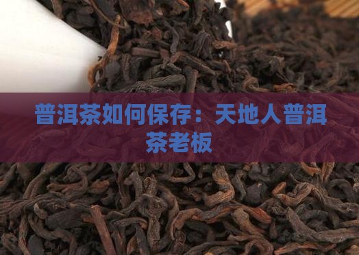 普洱茶怎么保存天地人普洱茶老板