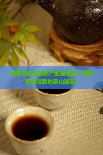 云南古树普洱茶产地是哪里