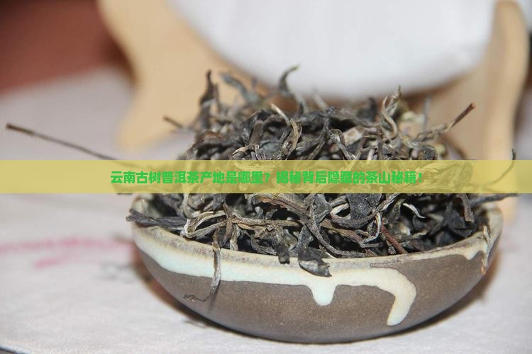 云南古树普洱茶产地是哪里