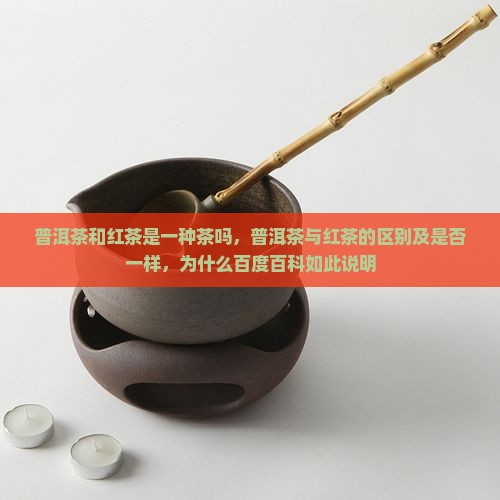 普洱茶和红茶是一种茶吗