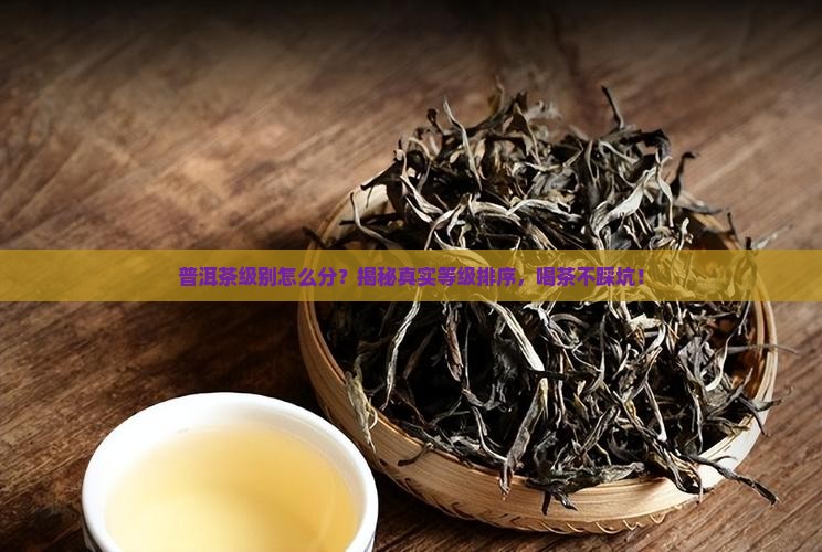 普洱茶级别顺序怎么排列