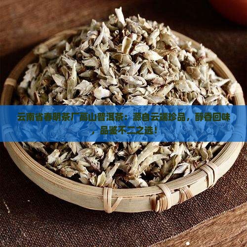 云南省春明茶厂高山普洱茶