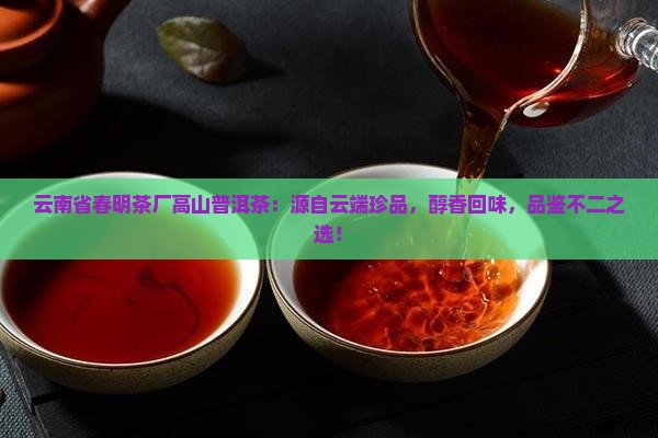 云南省春明茶厂高山普洱茶