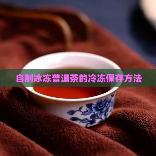 自制冰冻普洱茶怎么保存