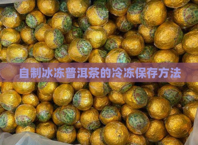 自制冰冻普洱茶怎么保存