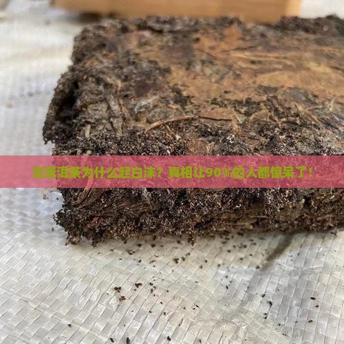 泡普洱茶怎么起白沫