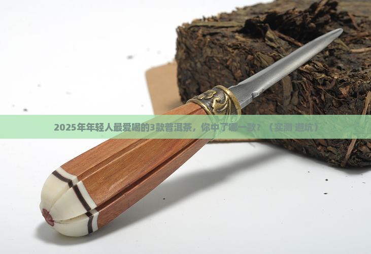 年轻人爱喝什么普洱茶