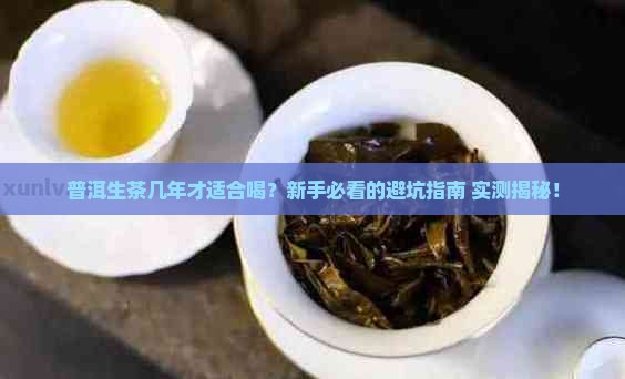 普洱生茶几年开始喝