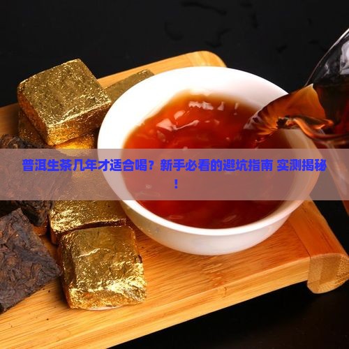 普洱生茶几年开始喝