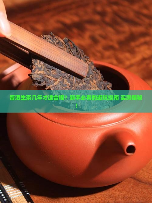 普洱生茶几年开始喝