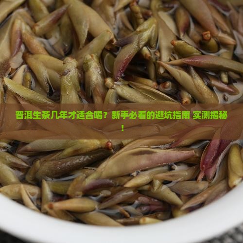 普洱生茶几年开始喝