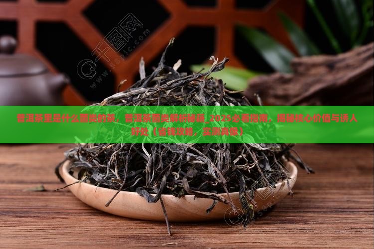 普洱茶里是什么菌类的茶