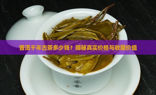 普洱千年古茶多少钱