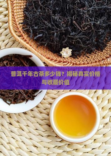 普洱千年古茶多少钱