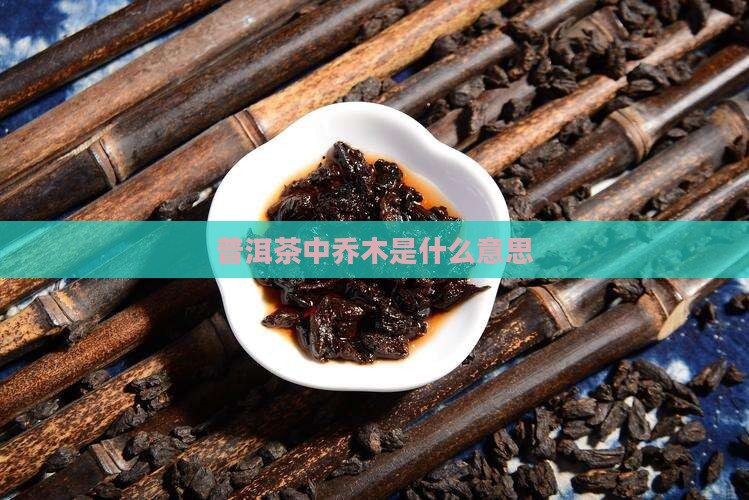 普洱茶中乔木是什么意思