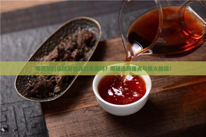 普洱茶的品牌属性