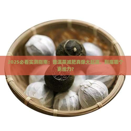 减肥喝普洱茶哪个好