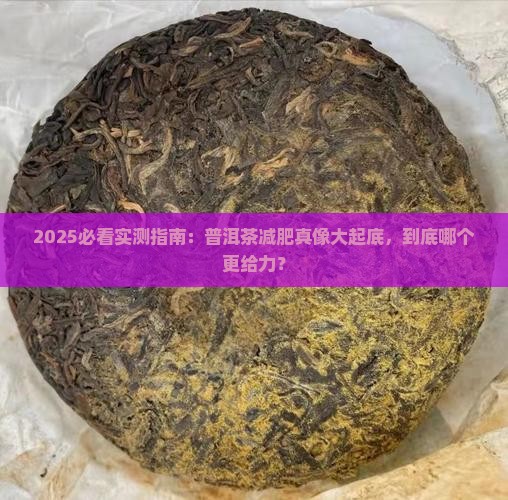 减肥喝普洱茶哪个好