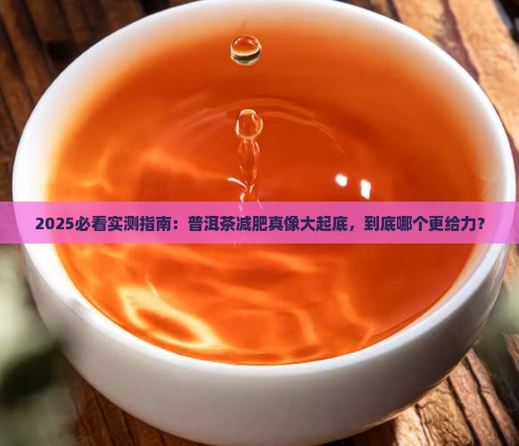 减肥喝普洱茶哪个好