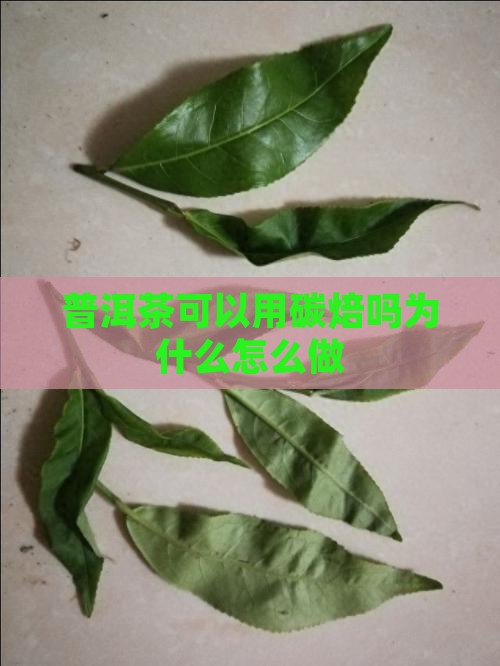 普洱茶可以用碳焙吗