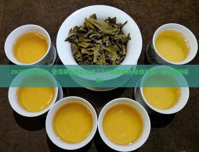 普洱茶生食熟食品饮
