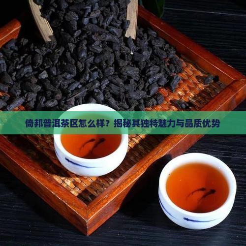 倚邦普洱茶区怎么样