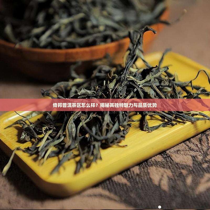 倚邦普洱茶区怎么样