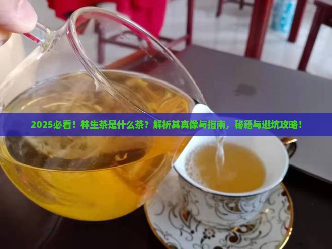林生茶是什么茶