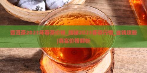 普洱茶2023年春茶价格