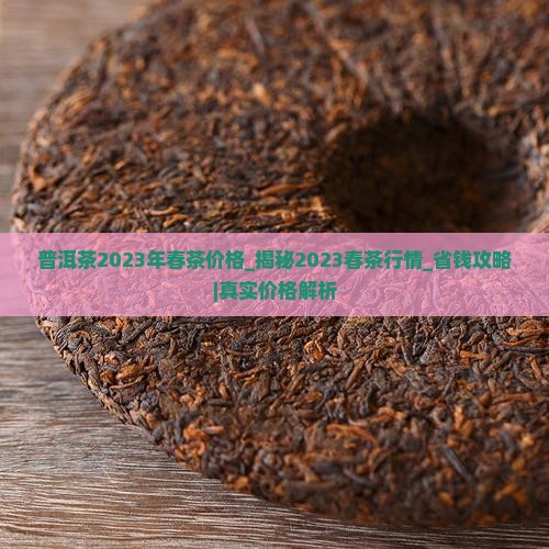 普洱茶2023年春茶价格