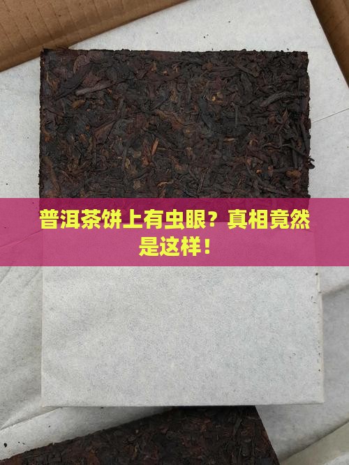 普洱茶饼上有虫眼