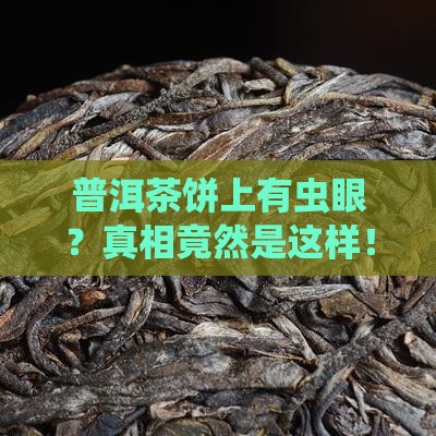 普洱茶饼上有虫眼