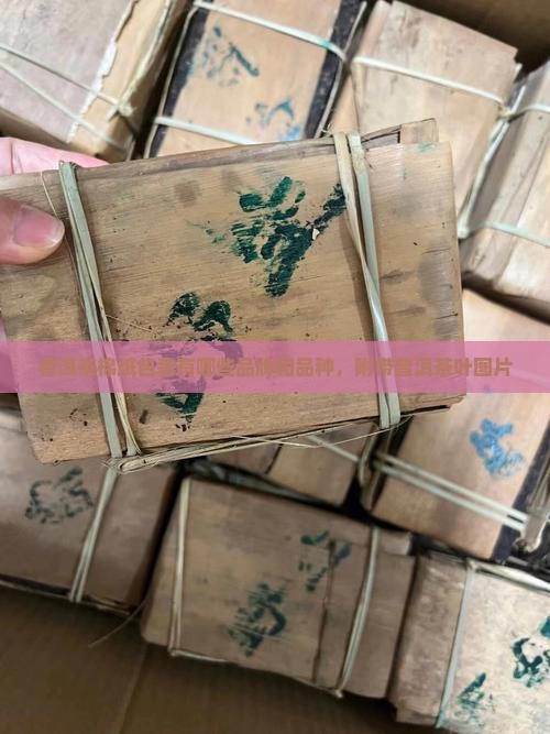 普洱茶棉纸有哪些品牌品种